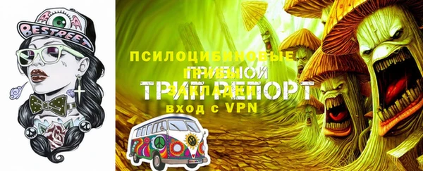 молекула духа Абинск