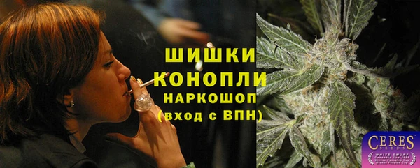 крисы Абдулино