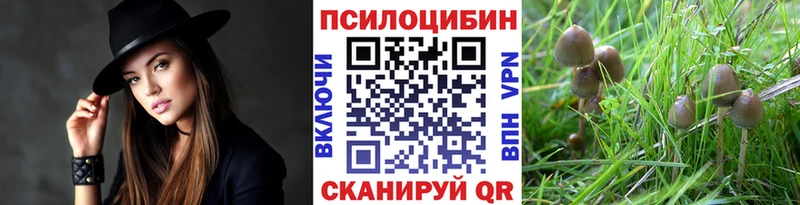 Псилоцибиновые грибы Cubensis  Яхрома 